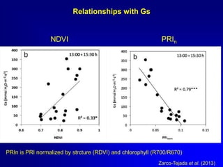 Relationships with Gs

NDVI

PRIn

PRIn is PRI normalized by strcture (RDVI) and chlorophyll (R700/R670)
Zarco-Tejada et al. (2013)

 