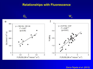 Relationships with Fluorescence

Gs

Ψx

Zarco-Tejada et al. (2012)

 