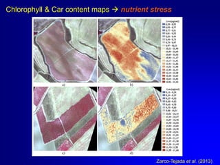 Chlorophyll & Car content maps  nutrient stress

Zarco-Tejada et al. (2013)

 