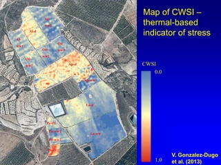 Map of CWSI –
thermal-based
indicator of stress

Alww2
Al-d
AlOr-

ww1

OrOr-

ww3

ww2

CWSI
0.0

Ap-d

ww1

Ap-ww

Le-d

Pe-d1
Pe-ww1

Le-ww

Pe-ww2
Pe-d1

1.0

V. Gonzalez-Dugo
et al. (2013)

 