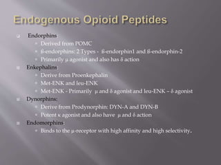 Proendorphin Opioids & Their Use in Anaesthesia | PPTX