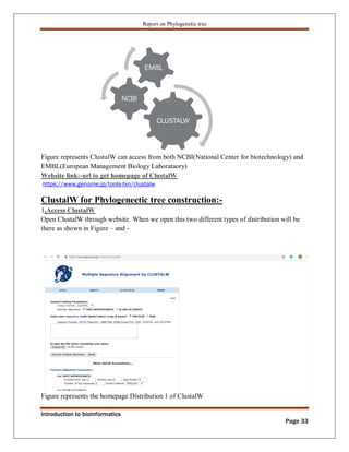 Phylogenetic tree construction using bioinformatics tools Zarlish ...