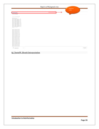 Phylogenetic tree construction using bioinformatics tools Zarlish ...