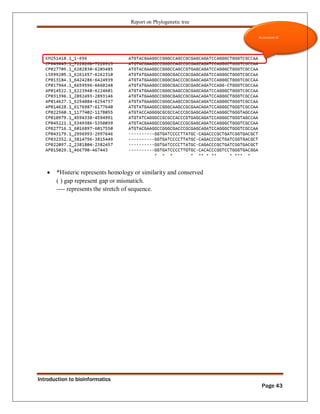 Phylogenetic tree construction using bioinformatics tools Zarlish ...