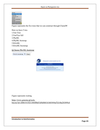 Phylogenetic tree construction using bioinformatics tools Zarlish ...