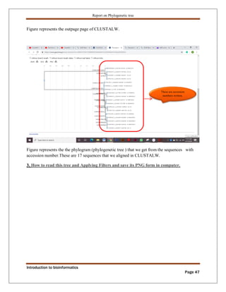 Phylogenetic tree construction using bioinformatics tools Zarlish ...