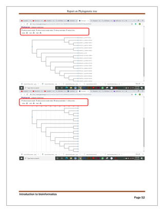 Phylogenetic tree construction using bioinformatics tools Zarlish ...