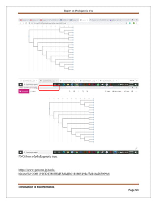 Phylogenetic tree construction using bioinformatics tools Zarlish ...
