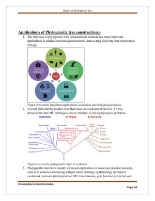Phylogenetic tree construction using bioinformatics tools Zarlish ...
