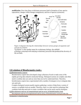 Phylogenetic tree construction using bioinformatics tools Zarlish ...