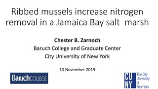 Ribbed mussels increase nitrogen
removal in a Jamaica Bay salt marsh
Chester B. Zarnoch
Baruch College and Graduate Center
City University of New York
13 November 2019
 