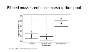 Ribbed mussels enhance marsh carbon pool
Zhu et al. In Press. Marine Ecology Progress Series
 