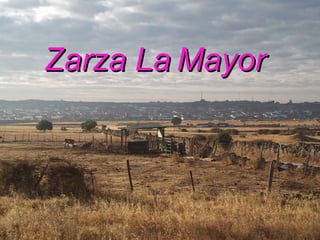 Zarza LaZarza La MayorMayor
 