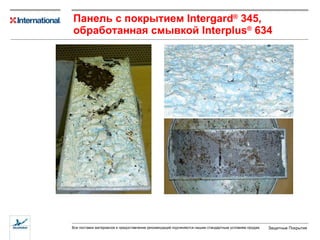 Панель с покрытием  Intergard ®  345,  обработанная смывкой  Interplus ®  634   