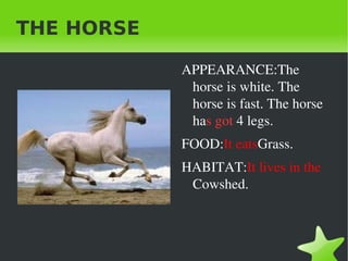 THE HORSE ,[object Object]