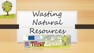 Wasting 
Natural 
Resources 
 