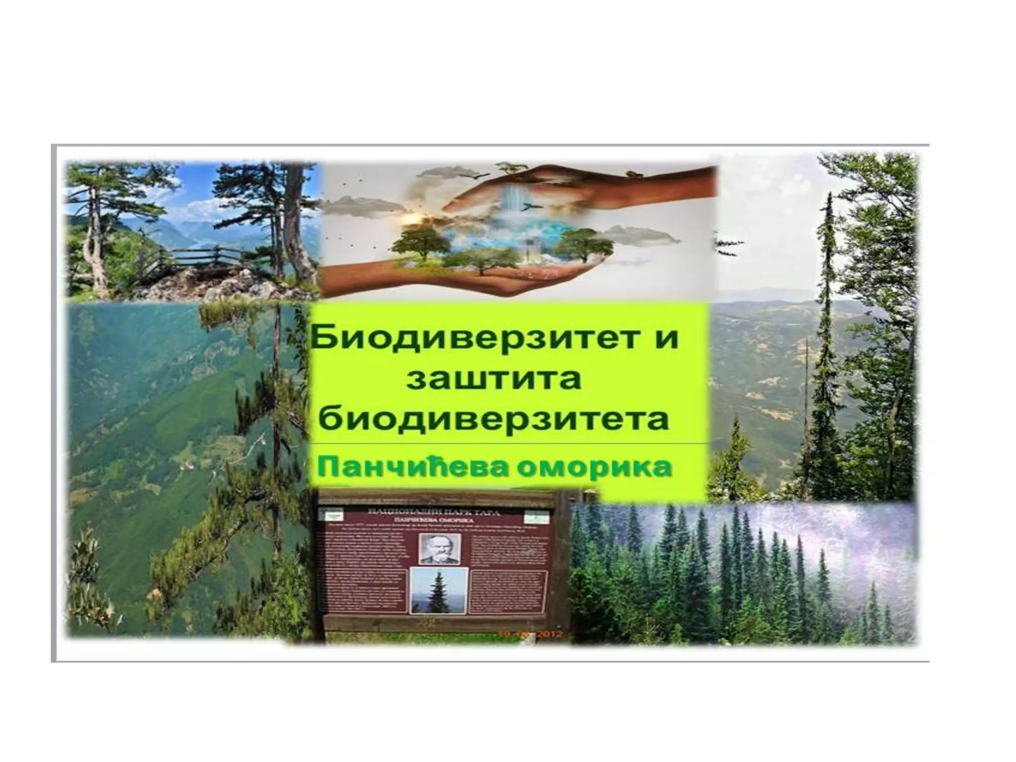 Zasticene vrste | PPTX