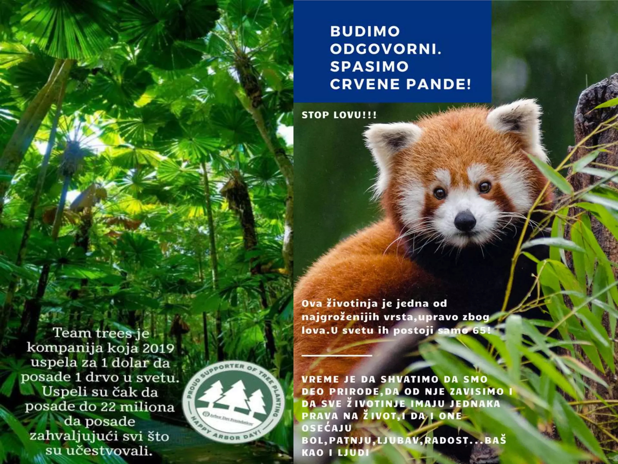 Zasticene vrste | PPTX