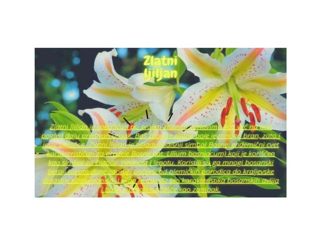 Zasticene vrste | PPTX