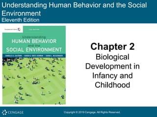 Understanding Human Behavior and the Social
Environment
Eleventh Edition
Chapter 2
Biological
Development in
Infancy and
Childhood
Copyright © 2019 Cengage. All Rights Reserved.
 