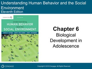 Understanding Human Behavior and the Social
Environment
Eleventh Edition
Chapter 6
Biological
Development in
Adolescence
Copyright © 2019 Cengage. All Rights Reserved.
 