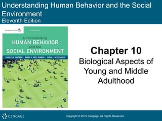 Understanding Human Behavior and the Social
Environment
Eleventh Edition
Chapter 10
Biological Aspects of
Young and Middle
Adulthood
Copyright © 2019 Cengage. All Rights Reserved.
 