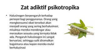 Zat adiktif psikotropika
? Halusinogen berpengaruh terhadap
persepsi bagi penggunanya. Orang yang
mengkonsumsi obat tersebut akan
menjadi orang yang sering berhalusinasi,
misalnya mereka mendengar atau
merasakan sesuatu yang ternyata tidak
ada. Pengaruh halusinogen ini sangat
bervariasi, sehingga sulit diramalkan
bagaimana atau kapan mereka mulai
berhalusinasi
 