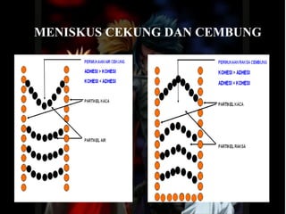 MENISKUS   CEKUNG DAN CEMBUNG 