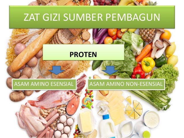 Keunggulan Zat Gizi Daun Bawang untuk Kesehatan dan Masakan Sehari-Hari Keunggulan Zat Gizi Daun Bawang untuk Kesehatan dan Masakan Sehari-Hari