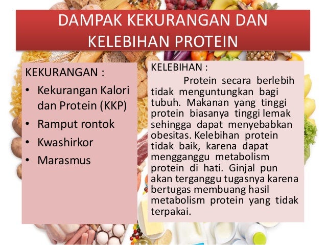 Akibat Kelebihan Dan Kekurangan Protein Hal