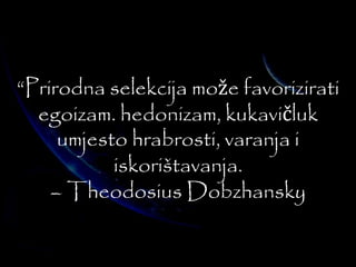 “Prirodna selekcija može favorizirati 
egoizam. hedonizam, kukavičluk 
umjesto hrabrosti, varanja i 
iskorištavanja. 
– Theodosius Dobzhansky 
 