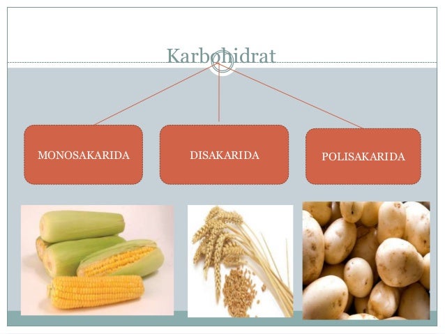 Zat Zat Makanan Autosaved 1