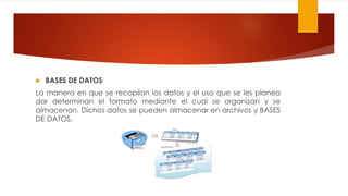  BASES DE DATOS
La manera en que se recopilan los datos y el uso que se les planea
dar determinan el formato mediante el cual se organizan y se
almacenan. Dichos datos se pueden almacenar en archivos y BASES
DE DATOS.
 