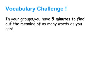 Vocabulary Challenge !
In your groups,you have 5 minutes to find
out the meaning of as many words as you
can!
 
