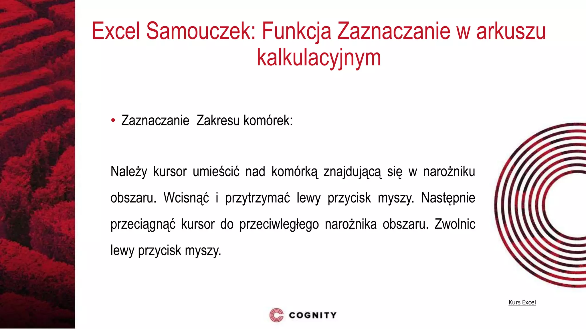 Samouczek Excel - Zaznaczanie w programie MS Excel | PPT | Free Download