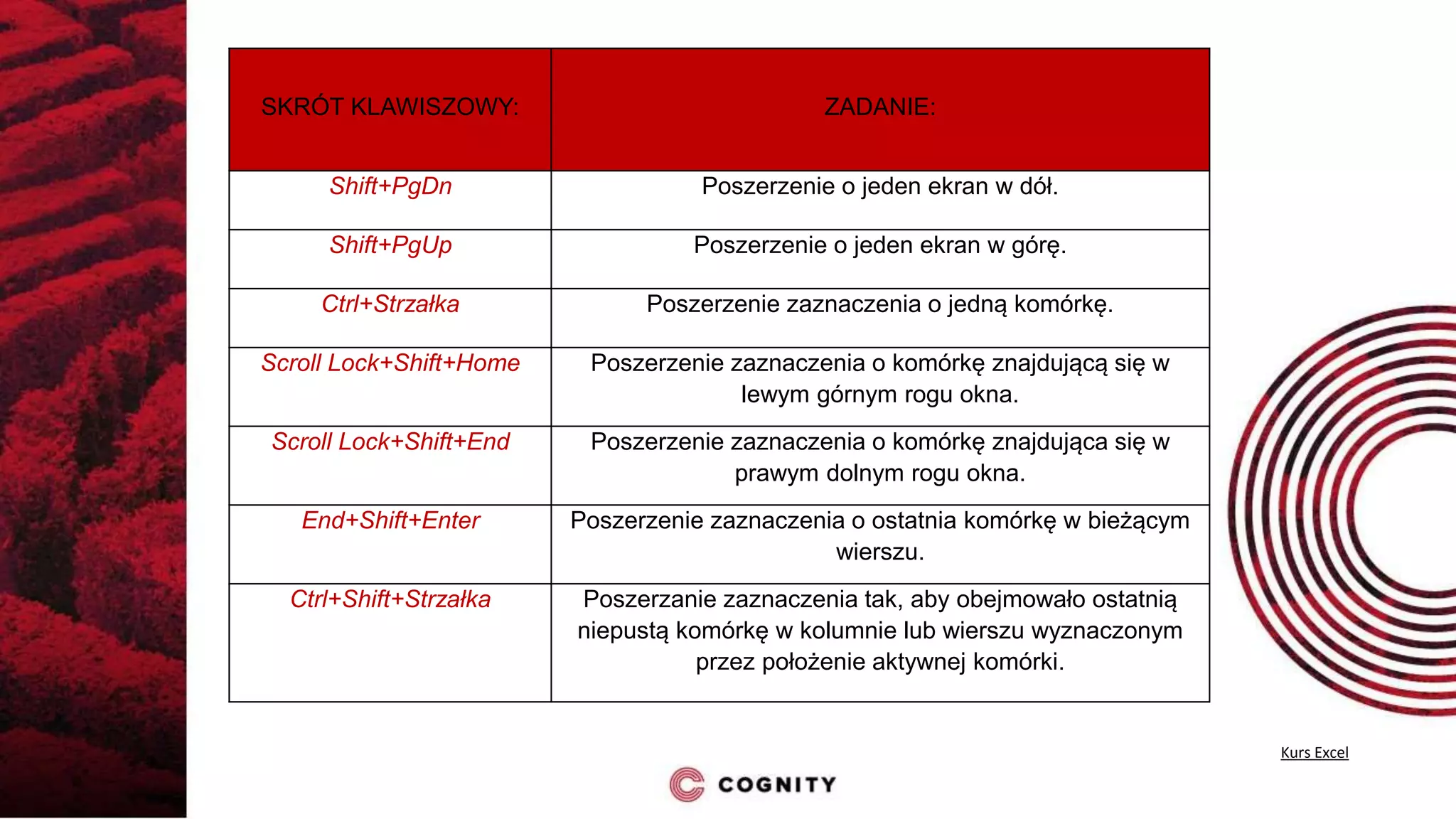 Samouczek Excel - Zaznaczanie w programie MS Excel | PPT | Free Download