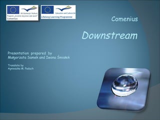 Comenius Downstream Presentation  prepared   by Małgorzata Samek  and  Iwona Śmiałek Translate  by  Agnieszka M. Paduch 
