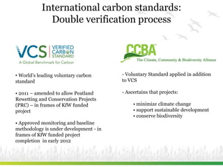 Peatland rewetting for carbon credits – Experience from Belarus | PDF