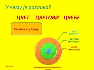 Разлика је у броју.
У чему је разлика?
ЦВЕТ ЦВЕТОВИ ЦВЕЋЕ
28. 9. 2015.
учитељица Лала, ОШ"Анта Богићевић«
Лозница
 