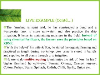 ◍The farmland is semi arid, he has constructed a bund and a
wastewater tank to store rainwater, and also practice the drip
irrigation, It helps in maintaining moisture in the field. Instead of
using chemical fertilizers, the farmer uses the principles based on
ZBNF.
◍With the help of his wife & Son, he stared the organic farming and
practiced as taught during workshop. cow urine is stored in barrels
and supplied to all plants through drip irrigation.
◍He use to do multi-cropping to minimize the risk of loss. In his 7
bighas farmland he cultivated Banana, Orange, Orange nursery,
Cotton, Pulses, Beans, Spinach, Radish, Chilli, Garlic, Onion etc.
LIVE EXAMPLE (Contd…)
 