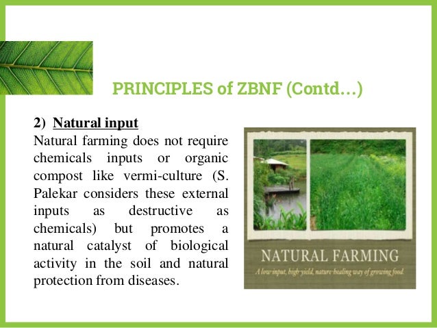 zero budget natural farming
