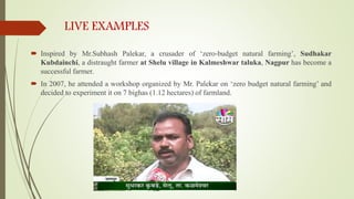 LIVE EXAMPLES
 Inspired by Mr.Subhash Palekar, a crusader of ‘zero-budget natural farming’, Sudhakar
Kubdainchi, a distraught farmer at Shelu village in Kalmeshwar taluka, Nagpur has become a
successful farmer.
 In 2007, he attended a workshop organized by Mr. Palekar on ‘zero budget natural farming’ and
decided to experiment it on 7 bighas (1.12 hectares) of farmland.
 
