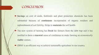 CONCLUSION
 Savings on cost of seeds, fertilizers and plant protection chemicals has been
substantial because of continuous incorporation of organic residues and
replenishment of soil fertility. Helps to maintain the soil health.
 The new system of farming has freed the farmers from the debt trap and it has
instilled in them a renewed sense of confidence to make farming an economically
viable venture.
 ZBNF is an efficient way to achieve sustainable agriculture in our country.
 