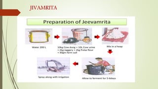 JIVAMRITA
 