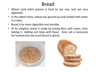 Bread
• Wheat (and other grains) is hard to eat raw, and not very
digestible.
• In the oldest times, wheat was ground up and cooked with water
in a stew.
• Bread is far more digestible and storable.
• At its simplest, bread is made by mixing flour with water, then
baking it. Adding salt helps with flavor. And, salt is necessary
for humans but not much found in plants.
 