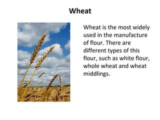 Wheat
Wheat is the most widely
used in the manufacture
of flour. There are
different types of this
flour, such as white flour,
whole wheat and wheat
middlings.
 