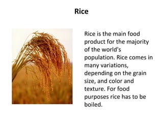 Rice
Rice is the main food
product for the majority
of the world's
population. Rice comes in
many variations,
depending on the grain
size, and color and
texture. For food
purposes rice has to be
boiled.
 