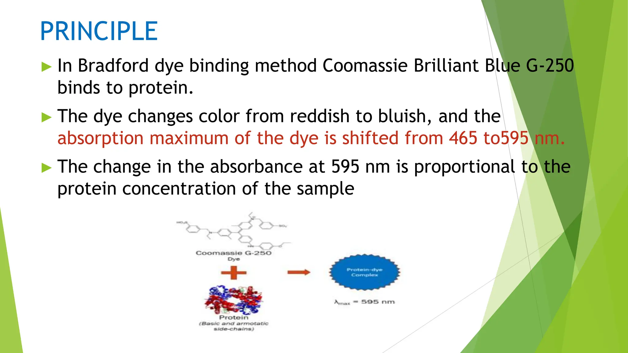 PRINCIPLE
► In Bradford dye binding method Coomassie Brilliant Blue G-250
binds to protein.
► The dye changes color from reddish to bluish, and the
absorption maximum of the dye is shifted from 465 to595 nm.
► The change in the absorbance at 595 nm is proportional to the
protein concentration of the sample
 