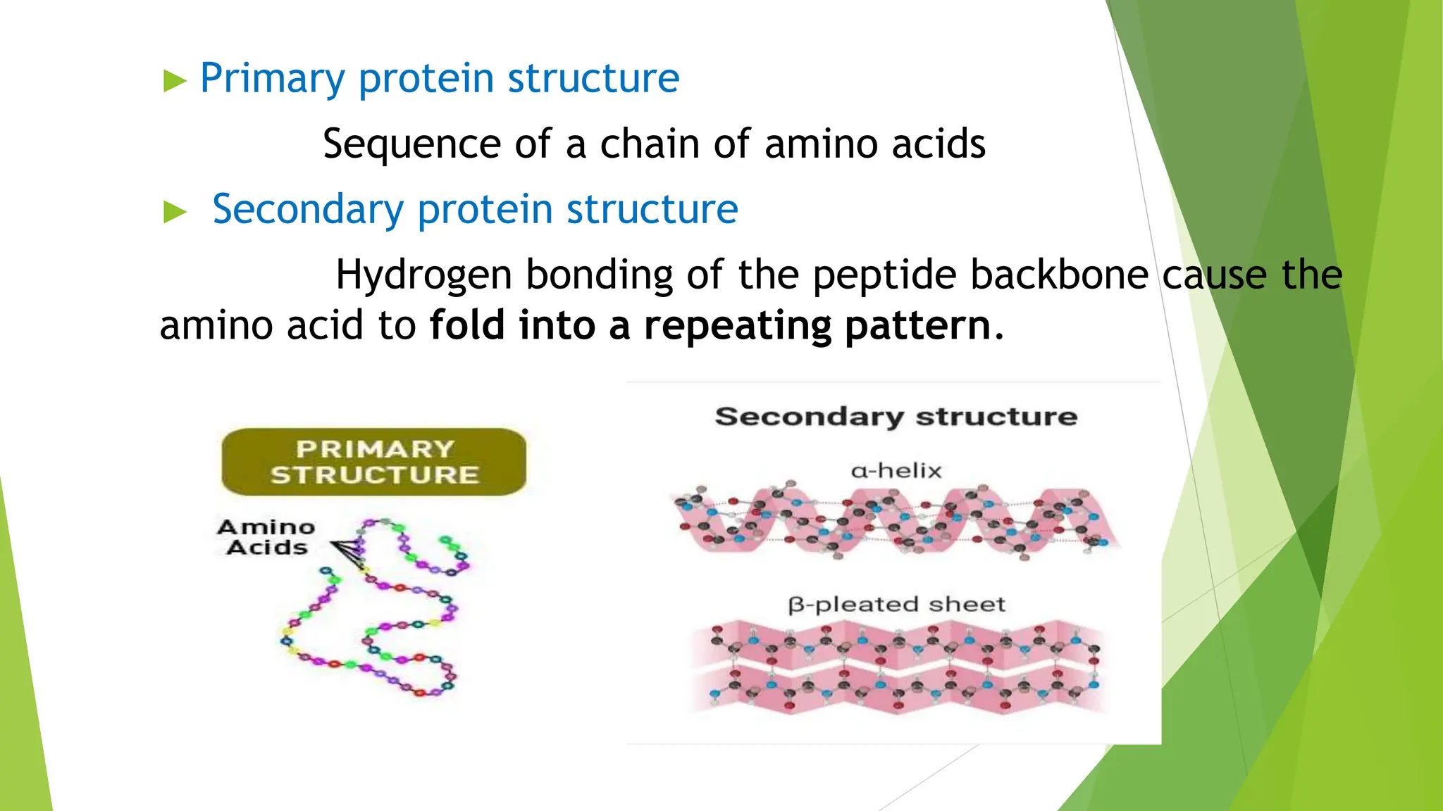 ► Primary protein structure
Sequence of a chain of amino acids
► Secondary protein structure
Hydrogen bonding of the peptide backbone cause the
amino acid to fold into a repeating pattern.
 