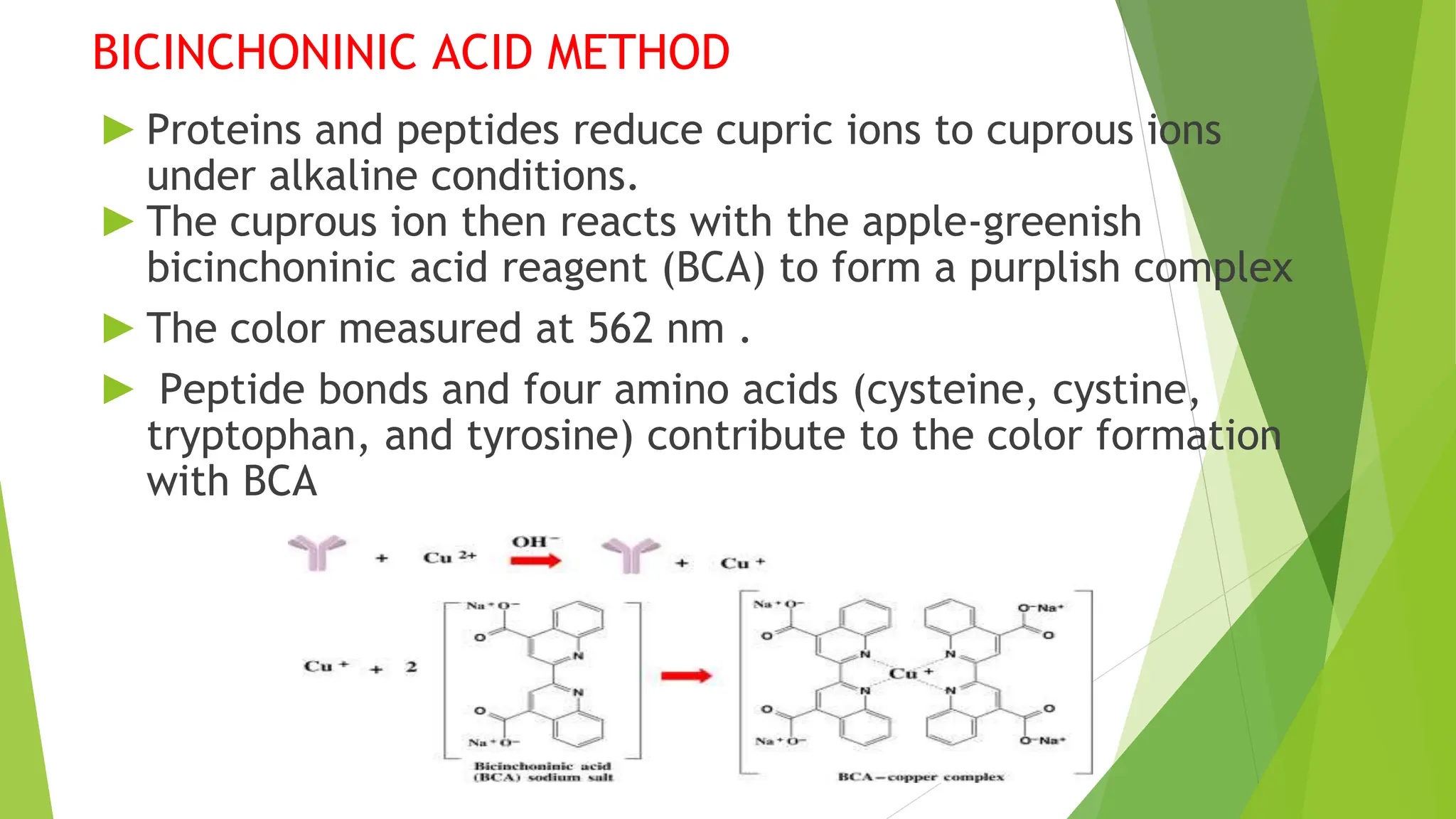 BICINCHONINIC ACID METHOD
► Proteins and peptides reduce cupric ions to cuprous ions
under alkaline conditions.
► The cuprous ion then reacts with the apple-greenish
bicinchoninic acid reagent (BCA) to form a purplish complex
► The color measured at 562 nm .
► Peptide bonds and four amino acids (cysteine, cystine,
tryptophan, and tyrosine) contribute to the color formation
with BCA
 